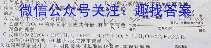 正确教育 2023年高考预测密卷二卷(新高考)化学