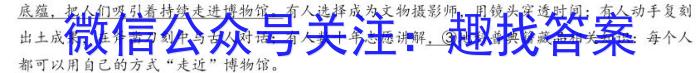 安徽省2023年合肥名校联盟中考内部卷二语文