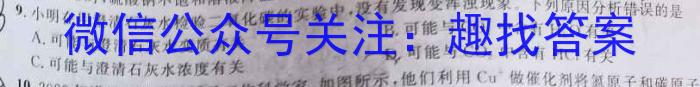 2022-2023学年安徽省七年级下学期阶段性质量检测（七）化学