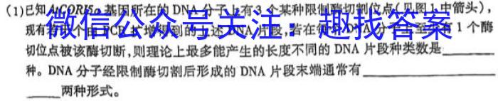 安徽省2023届九年级考前适应性评估（三）（8LR）生物试卷答案
