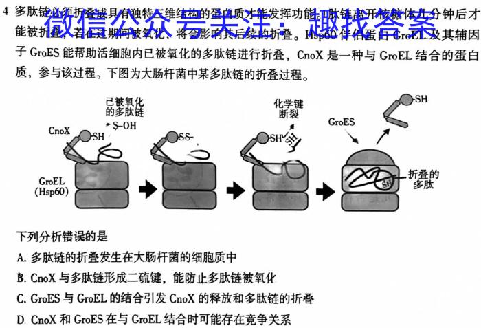 2023年普通高等学校招生全国统一考试 高考仿真冲刺押题卷(六)生物