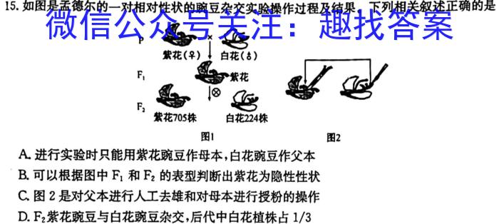 2022~2023学年河北省高三年级下学期4月份联合考试(23-410C)生物