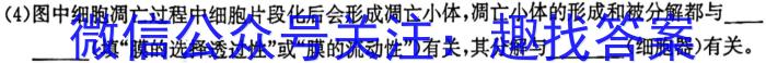 2023年山西省初中学业水平测试联考试卷（一）生物