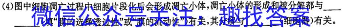 2023届陕西省九年级教学质量检测(正方形包黑色菱形)生物