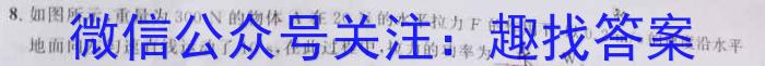 2023年普通高校招生考试精准预测卷(一)物理.