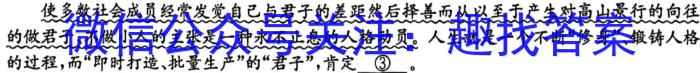 2023届青海省高三试卷5月联考(标识⇨⇦)语文