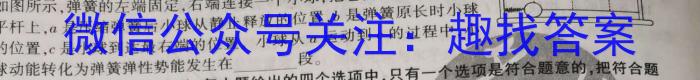 2023届资阳市高中2020级高考适应性考试(23-418C)物理`