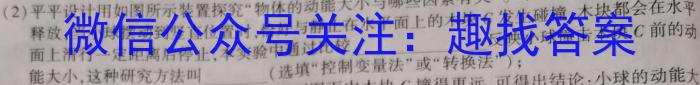 超级全能生2023届高考全国卷地区高三年级5月联考(3425C)物理.