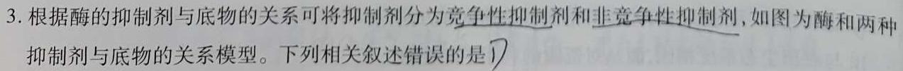 [泰安二模]山东省泰安市2024-2023学年高三二轮检测生物试题及答案