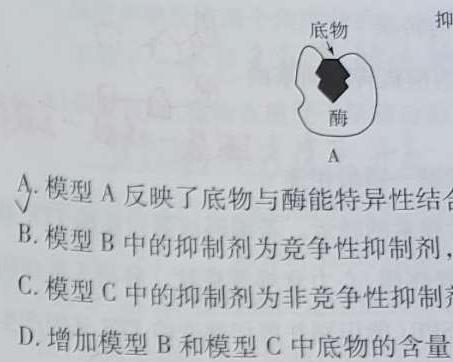 [泰安二模]山东省泰安市2022-2023学年高三二轮检测生物