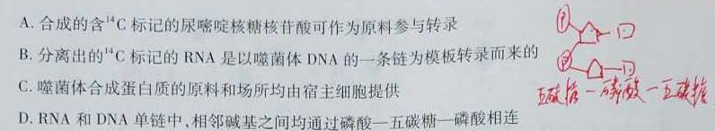2022-2023学年邯郸市高一年级下学期期中考试(23-386A)生物