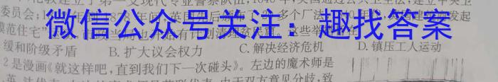 江西省南丰县2023年九年级下学期期中检测历史