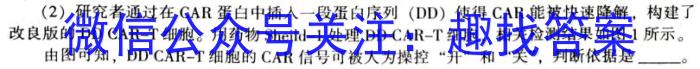 抚州七校联考高二2024-2023学年度下学期期中联考生物