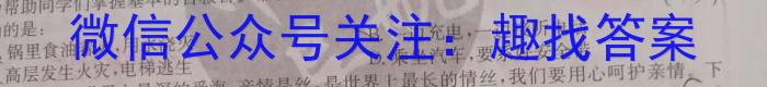 2023年陕西省普通高中学业水平考试全真模拟(二)政治~
