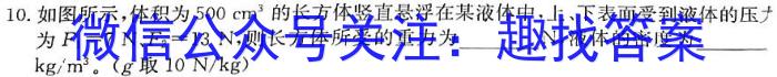 安徽省2023年九年级阶段调研（5月）物理.