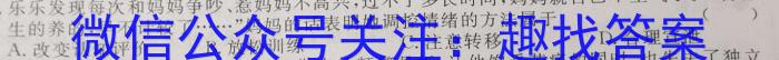 2023年江西省初中学业水平模拟考试（二）（23-CZ133c）地理.