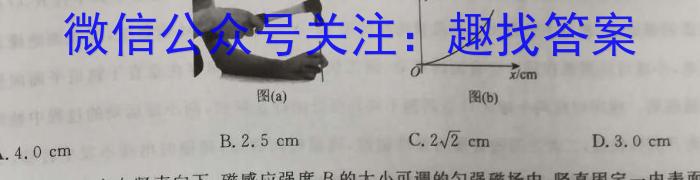 2023年湖南省普通高中学业水平合格性考试仿真试卷(专家版四).物理