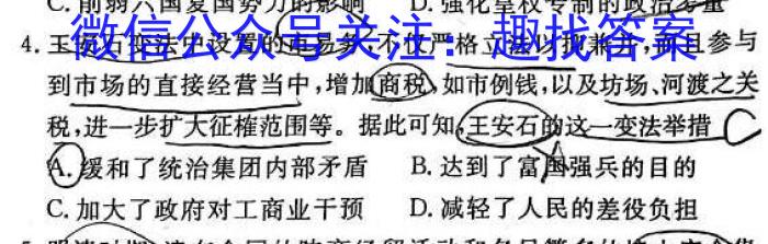 河南省2023年中招九年级适应性测试（二）历史