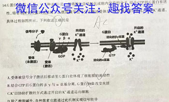 [开封三模]开封市2023届高三年级第三次模拟考试生物试卷答案