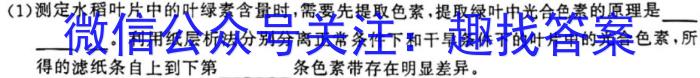 2025届广东大联考高一4月联考（23-388A）生物