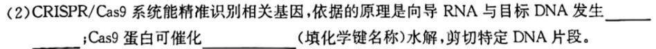 2023年普通高等学校招生统一考试 新S3·临门押题卷(一)生物