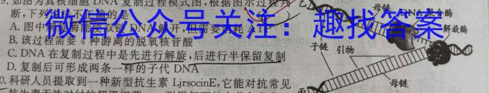陕西省2023年普通高等学校招生全国统一考试（正方形套黑菱形）生物