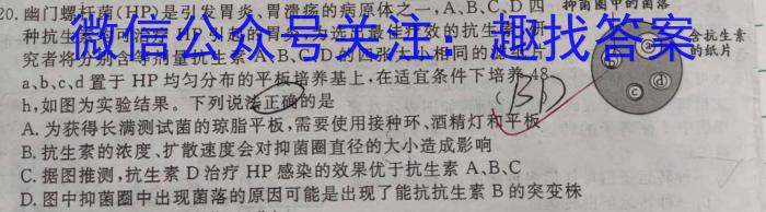 2023年陕西大联考高三年级5月联考（⇧）生物