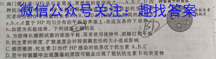 2022-2023学年湖北省高二考试4月联考(23-376B)生物试卷答案