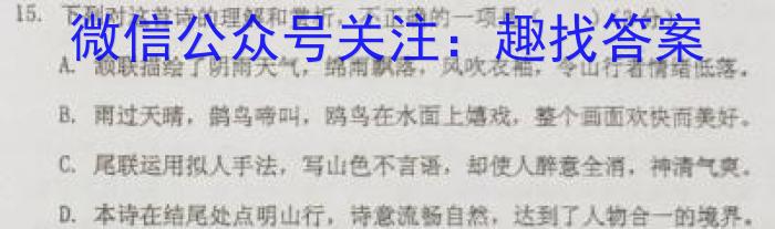 江西省2023-2024学年度初三模拟巩固训练（三）语文