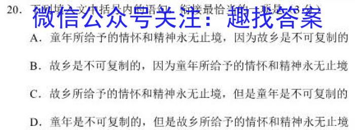 2023年江西省初中学业水平考试·终极一考卷（BC）语文