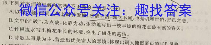 安徽省C20教育联盟2023年中考最后典题卷(一)语文