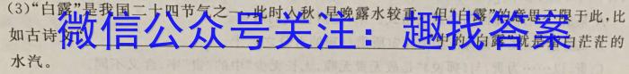 [高考仿真模拟]2023届九师联盟高三年级5月质量检测（LG）语文