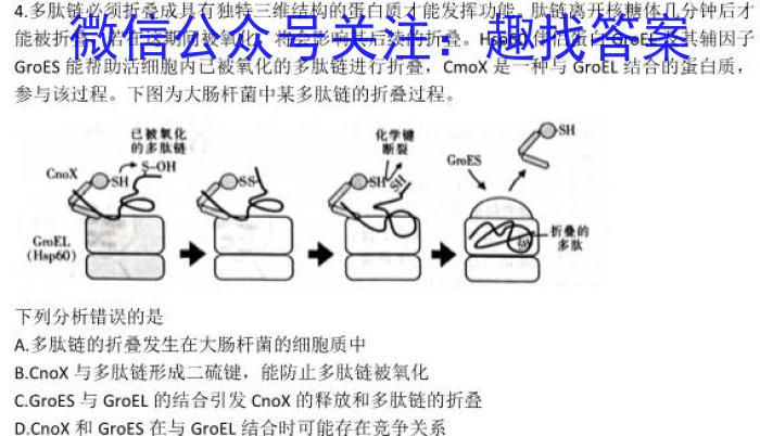 2023年普通高等学校招生全国统一考试·专家猜题卷(四)生物