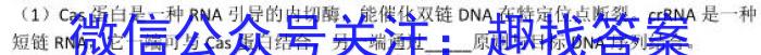[开封三模]开封市2023届高三年级第三次模拟考试生物