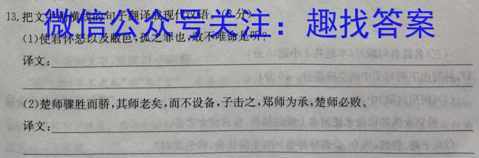 快乐考生 2023届双考信息卷·第八辑 锁定高考 冲刺卷(一)语文