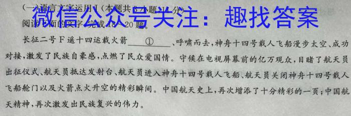 NT2023届普通高等学校招生全国统一考试模拟押题试卷(二)语文