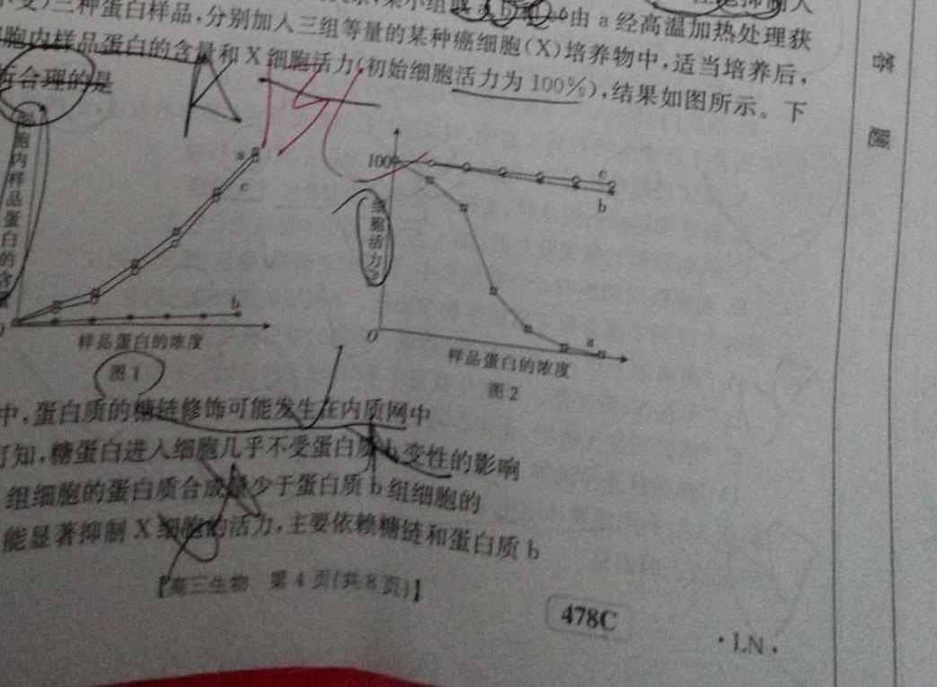 2023届内蒙古高三考试4月联考(标识♨)生物