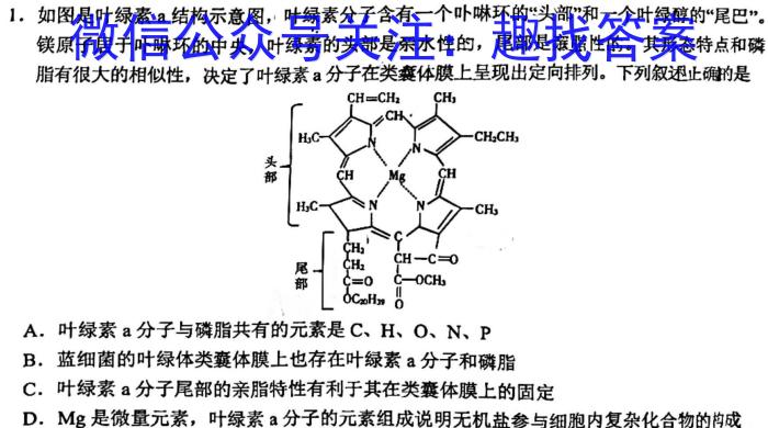 山西省2024-2023学年七年级下学期期中综合评估（23-CZ190a）生物