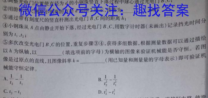 安徽省十联考2022-2023学年度第二学期高二期中联考l物理