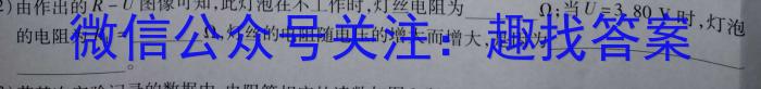 运城市2022-2023学年第二学期九年级教学质量监测（23-CZ175c）物理.