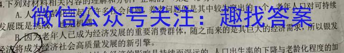 2023届普通高校招生全国统一考试·NT精准考点检测重组卷(全国卷)(三)语文