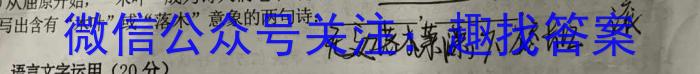安徽省2022-2023学年度七年级下学期阶段评估（二）【7LR-AH】语文