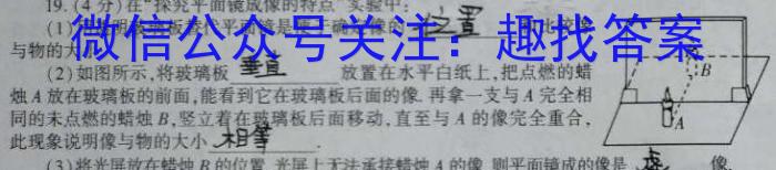 中考模拟压轴系列 2023年河北省中考适应性模拟检测(仿真一)物理.