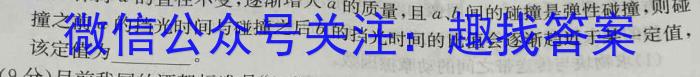 湘潭四模 湘潭市2023届高三高考适应性模拟考试四物理`