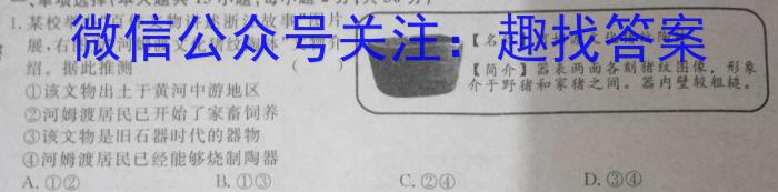 2022-2023学年安徽省八年级下学期阶段性质量检测（七）历史