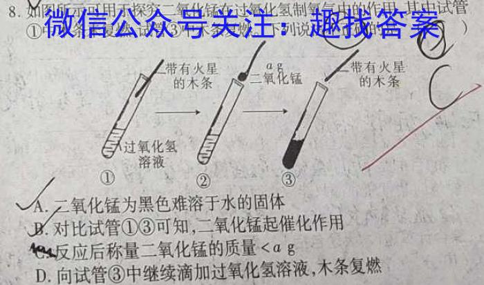 2023年陕西省初中学业水平考试B版T版化学