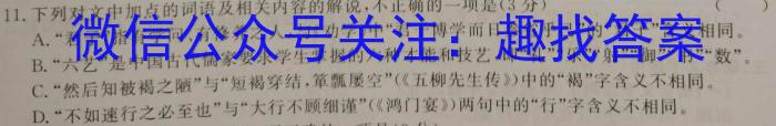 黑白卷 2023年普通高等学校招生全国统一考试(黑卷)语文