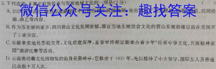 T2·2023年陕西省初中学业水平考试模拟试卷语文