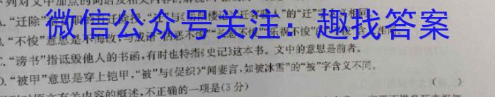 湖北省2022-2023学年度下学期期中新洲区部分学校高中二目标检测语文