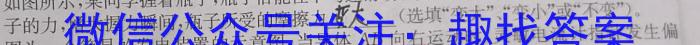 2023年安徽省中考教学质量调研（4月）物理.